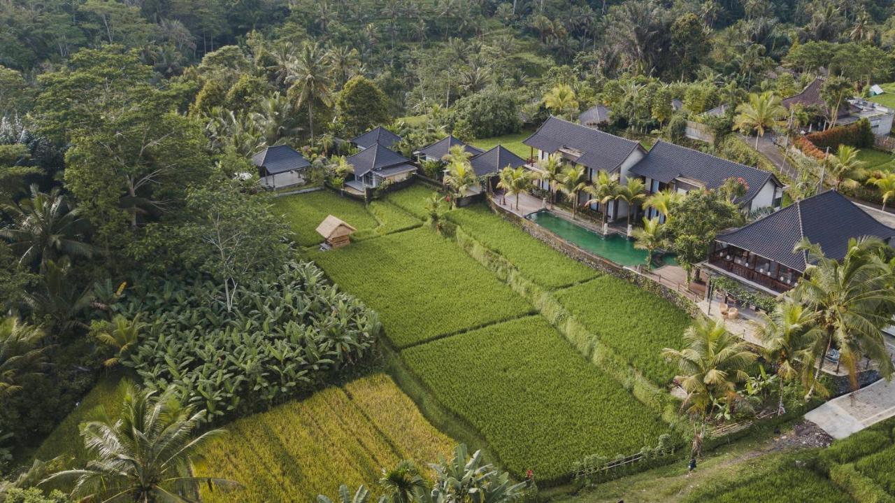 Pinggala Villa Ubud Payangan Exterior foto